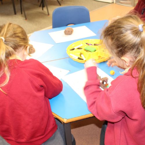 Learning through play in an enriched environment.